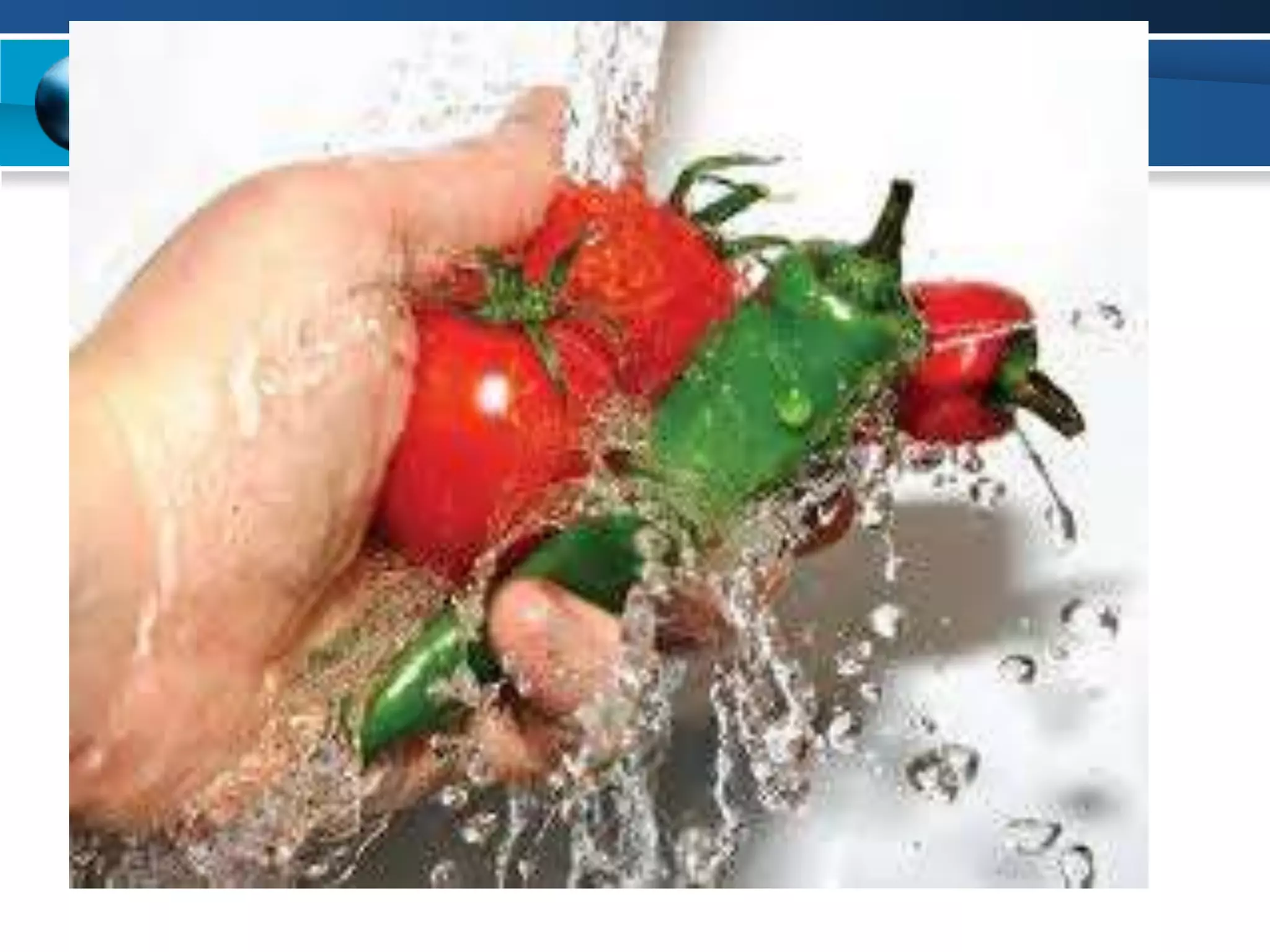 Food Processing HACCP and GMP.ppt