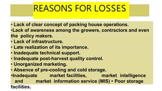 REASONS FOR LOSSES
• Lack of clear concept of packing house operations.
•Lack of awareness among the growers, contractors and even
the policy makers.
• Lack of infrastructure.
• Late realization of its importance.
• Inadequate technical support.
• Inadequate post-harvest quality control.
• Unorganized marketing.
• Absence of pre-cooling and cold storage.
•Inadequate market facilities, market intelligence
and market information service (MIS) • Poor storage
facilities.
 