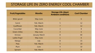STORAGE LIFE IN ZERO ENERGY COOL CHAMBER
Fruit/Vegetables Months
Storage Life (days)
Ambient conditions
Cool Chamber
Bitter gourd May-June 2 6
Carrot Feb.-March 5 12
Cauliflower Feb.-March 7 12
Cucumber May-June 3 8
Green chilies May-June 3 6
Kinnow January-March 8 60
Ladies finger May-June 1 6
Mango July 8 15
Peas Feb.-March 5 10
Plum June 4 10
Spinach Feb.-March 3 8
 