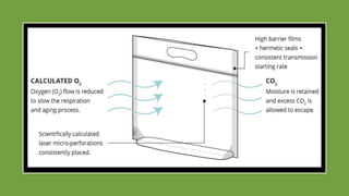 Food processing and post harvest technology