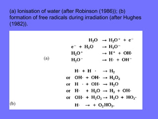 (a) Ionisation of water (after Robinson (1986)); (b)
formation of free radicals during irradiation (after Hughes
(1982)).
 