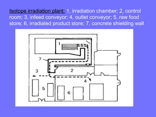 Isotope irradiation plant: 1, irradiation chamber; 2, control
room; 3, infeed conveyor; 4, outlet conveyor; 5, raw food
store; 6, irradiated product store; 7, concrete shielding wall
 