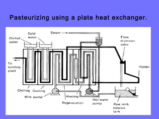 Pasteurizing using a plate heat exchanger.
 