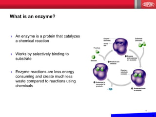 What is an enzyme? 
›An enzyme is a protein that catalyzes a chemical reaction 
›Works by selectively binding to substrate 
›Enzyme reactions are less energy consuming and create much less waste compared to reactions using chemicals 
4 
4  