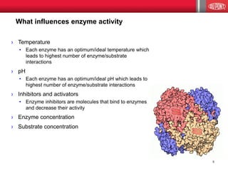 ›Temperature 
•Each enzyme has an optimum/ideal temperature which leads to highest number of enzyme/substrate interactions 
›pH 
•Each enzyme has an optimum/ideal pH which leads to highest number of enzyme/substrate interactions 
›Inhibitors and activators 
•Enzyme inhibitors are molecules that bind to enzymes and decrease their activity 
›Enzyme concentration 
›Substrate concentration 
What influences enzyme activity 
5  