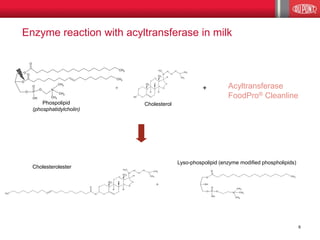 Acyltransferase 
FoodPro® Cleanline 
O 
O 
CH3 
O 
P 
OH 
O 
O 
N 
+ 
CH3 
CH3 
CH3 
+ OH 
Lyso-phospolipid (enzyme modified phospholipids) 
Phospolipid 
(phosphatidylcholin) 
Cholesterol 
Cholesterolester 
+ 
13 
9 14 
10 8 
17 
12 
11 
15 
16 
5 7 
6 
20 
CH3 
18 
CH3 
1 19 
23 
22 
4 
24 
2 
3 
H 
H 
H 
H 
HO 
CH3 
CH3 
H3C 
+ 
Enzyme reaction with acyltransferase in milk 
6 
13 
9 14 
10 8 
17 
12 
11 
15 
16 
5 7 
6 
20 
CH3 
18 
CH3 
1 19 
23 
22 
4 
24 
2 
3 
H 
H 
H 
H 
O 
CH3 
CH3 
H3C 
O 
H3C 
O 
O 
O 
CH3 
O 
CH3 
O 
P 
OH 
O 
O N 
+ 
CH3 
CH3 
CH3 
 
