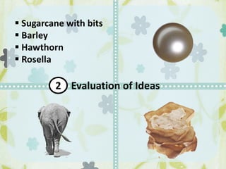 Evaluation of Ideas2
 Sugarcane with bits
 Barley
 Hawthorn
 Rosella
 