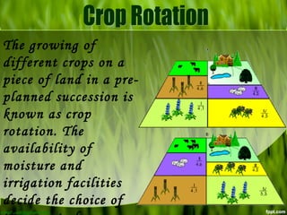 Cropping Pattern | PPT