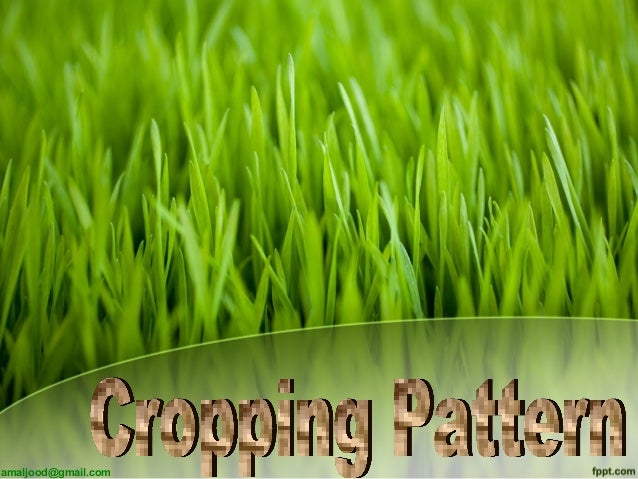 Cropping Pattern Cropping Pattern