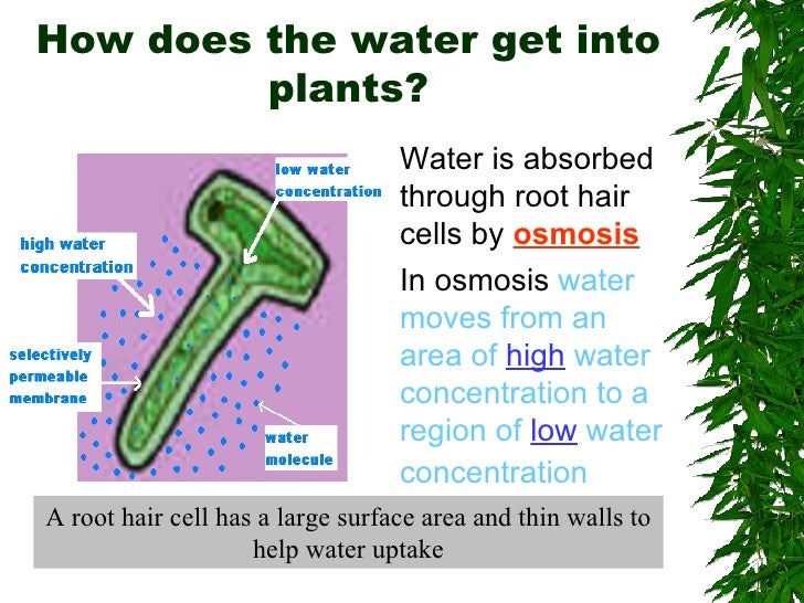Food Production The Environment