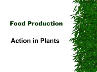Food Production Action in Plants 