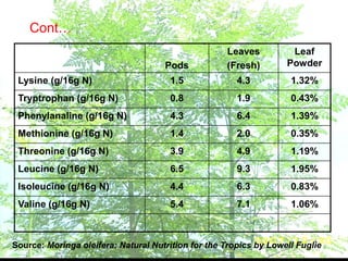 Cont…
Pods
Leaves
(Fresh)
Leaf
Powder
Lysine (g/16g N) 1.5 4.3 1.32%
Tryptrophan (g/16g N) 0.8 1.9 0.43%
Phenylanaline (g/16g N) 4.3 6.4 1.39%
Methionine (g/16g N) 1.4 2.0 0.35%
Threonine (g/16g N) 3.9 4.9 1.19%
Leucine (g/16g N) 6.5 9.3 1.95%
Isoleucine (g/16g N) 4.4 6.3 0.83%
Valine (g/16g N) 5.4 7.1 1.06%
Source: Moringa oleifera: Natural Nutrition for the Tropics by Lowell Fuglie
 