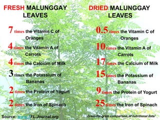 Gram-for-gram comparison of nutritional data1
2times the Protein of Yogurt
3times the Potassium of
Bananas
4times the Calcium of Milk
4times the Vitamin A of
Carrots
7times the Vitamin C of
Oranges
Source: www.TFL.Journal.org
FRESH MALUNGGAY
LEAVES
2times the Iron of Spinach
DRIED MALUNGGAY
LEAVES
9times the Protein of Yogurt
15times the Potassium of
Bananas
17times the Calcium of Milk
10times the Vitamin A of
Carrots
0.5times the Vitamin C of
Oranges
25times the Iron of Spinach
 