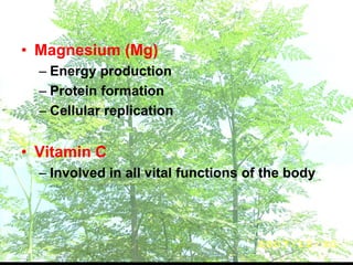 • Magnesium (Mg)
– Energy production
– Protein formation
– Cellular replication
• Vitamin C
– Involved in all vital functions of the body
 