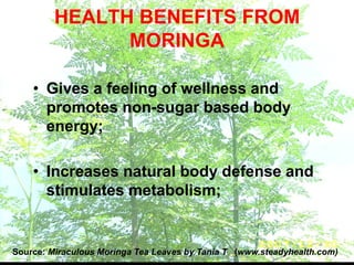 HEALTH BENEFITS FROM
MORINGA
• Gives a feeling of wellness and
promotes non-sugar based body
energy;
• Increases natural body defense and
stimulates metabolism;
Source: Miraculous Moringa Tea Leaves by Tania T (www.steadyhealth.com)
 