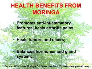 • Promotes anti-inflammatory
features, heals arthritis pains;
• Heals tumors and ulcers;
• Balances hormones and gland
system;
Source: Miraculous Moringa Tea Leaves by Tania T (www.steadyhealth.com)
HEALTH BENEFITS FROM
MORINGA
 