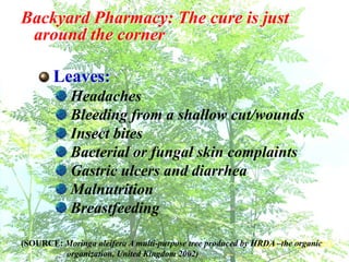 Backyard Pharmacy: The cure is just
around the corner
Leaves:
Headaches
Bleeding from a shallow cut/wounds
Insect bites
Bacterial or fungal skin complaints
Gastric ulcers and diarrhea
Malnutrition
Breastfeeding
(SOURCE: Moringa oleifera A multi-purpose tree produced by HRDA –the organic
organization, United Kingdom 2002)
 