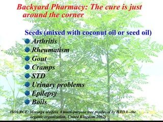 Backyard Pharmacy: The cure is just
around the corner
Seeds (mixed with coconut oil or seed oil)
Arthritis
Rheumatism
Gout
Cramps
STD
Urinary problems
Epilepsy
Boils
(SOURCE: Moringa oleifera A multi-purpose tree produced by HRDA –the
organic organization, United Kingdom 2002)
 