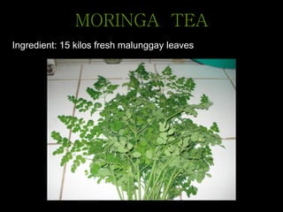 MORINGA TEA
Ingredient: 15 kilos fresh malunggay leaves
 
