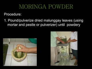 MORINGA POWDER
Procedure:
1. Pound/pulverize dried malunggay leaves (using
mortar and pestle or pulverizer) until powdery
 