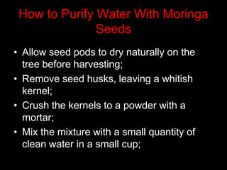 How to Purify Water With Moringa
Seeds
• Allow seed pods to dry naturally on the
tree before harvesting;
• Remove seed husks, leaving a whitish
kernel;
• Crush the kernels to a powder with a
mortar;
• Mix the mixture with a small quantity of
clean water in a small cup;
 