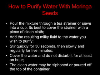 • Pour the mixture through a tea strainer or sieve
into a cup. Its best to cover the strainer with a
piece of clean cloth;
• Add the resulting milky fluid to the water you
wish to purify;
• Stir quickly for 30 seconds, then slowly and
regularly for five minutes;
• Cover the water and do not disturb it for at least
an hour;
• The clean water may be siphoned or poured off
the top of the container.
How to Purify Water With Moringa
Seeds
 