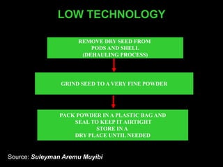 LOW TECHNOLOGY
SEED PROCESSING
REMOVE DRY SEED FROM
PODS AND SHELL
(DEHAULING PROCESS)
GRIND SEED TO A VERY FINE POWDER
PACK POWDER IN A PLASTIC BAG AND
SEAL TO KEEP IT AIRTIGHT
STORE IN A
DRY PLACE UNTIL NEEDED
Source: Suleyman Aremu Muyibi
 