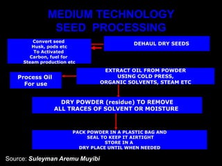 MEDIUM TECHNOLOGY
SEED PROCESSING
DEHAUL DRY SEEDS
EXTRACT OIL FROM POWDER
USING COLD PRESS,
ORGANIC SOLVENTS, STEAM ETC
DRY POWDER (residue) TO REMOVE
ALL TRACES OF SOLVENT OR MOISTURE
PACK POWDER IN A PLASTIC BAG AND
SEAL TO KEEP IT AIRTIGHT
STORE IN A
DRY PLACE UNTIL WHEN NEEDED
Process Oil
For use
Convert seed
Husk, pods etc
To Activated
Carbon, fuel for
Steam production etc
Source: Suleyman Aremu Muyibi
 