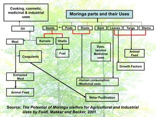 Cooking, cosmetic,
medicinal & industrial
uses
Moringa parts and their Uses
Oil
Meal
Coagulants
Kernels
Extracted
Meal
Animal Feed
Water Purification
-Human consumption
-Medicinal uses
Growth Factors
Animal
Feed
Fuel
Shells
Seeds Pods Roots Bark Leaves Twigs Stems
Dyes,
tannins
Medicinal
uses
Source: The Potential of Moringa oleifera for Agricultural and Industrial
Uses by Foidl, Makkar and Becker, 2001
 