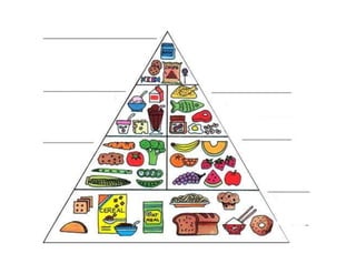 Food pyramid form 1