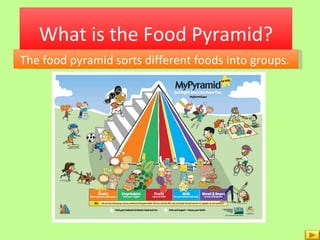 What is the Food Pyramid? The food pyramid sorts different foods into groups .  