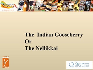 The  Indian Gooseberry Or The Nellikkai 