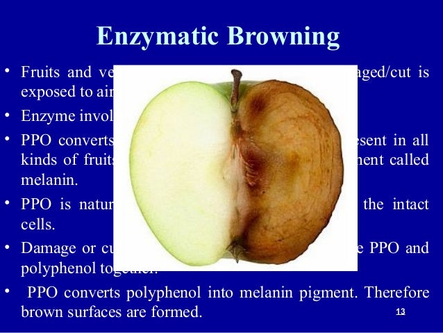 Food Spoilage Due to enzymes
