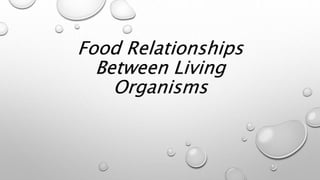 Food Relationships
Between Living
Organisms
 
