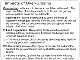 Impacts of Over-Grazing 
Overgrazing : India leads in livestock population in the world. The 
huge population of livestock needs to be fed and the grazing 
lands or pasture areas are not adequate. 
1) Soil erosion : Due to overgrazing by cattle, the cover of 
vegetation almost gets removed from the land. When the grasses 
are removed , the soil becomes loose and susceptible to the 
aviation of wind and water. 
2) Land Degradation : Overgrazing leads to multiple actions 
resulting in loss of soil structure, hydraulic conductivity and soil 
fertility as explained below : 
2.1) The humus content of soil decreases and overgrazing leads to 
organically poor, dry, compacted soil. 
2.2) Overgrazing removes the vegetal cover over the soil and the 
exposed soil gets compacted due to which the operate soil depth 
decline. 
2.3) Due to trampling by cattle the soil loses infiltration capacity , 
which reduces percolation of water into the soil and more water 
 