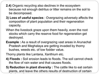 2.4) Organic recycling also declines in the ecosystem 
because not enough detritus or litter remains on the soil to 
be decomposed. 
3) Loss of useful species : Overgrazing adversely affects the 
composition of plant population and their regeneration 
capacity. 
When the livestock graze upon them heavily, even the root 
stocks which carry the reserve food for regeneration get 
destroyed. 
Example : As a result of overgrazing vast areas in Arunachal 
Pradesh and Meghalaya are getting invaded by thorny 
bushes, weeds etc. of low fodder value. 
Thorny plants like Lantana, Xanthium etc. 
4) Floods : Soil erosion leads to floods. The soil cannot check 
the flow of rain water and that causes floods. 
5) Reduction in plant diversity : The cattle like to eat certain 
plants, and leave the others results of destruction of certain 
plant species. 
 