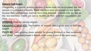 Impacts And Issues:
Overgrazing is a serious problem because it harms both the environment and the
animals it is intended to benefit. Plants that have been overgrazed are less healthy
because their carbohydrate reserves have been depleted. Animals who are fed on
this less-nutritious fodder are not as healthy as their well-fed counterparts, are
more
FODDER: Food for grazing animals.
GRAZING CAPACITY: The number of animals that a given area of land can
support.
PASTURE: Low-growing plants suitable for grazing livestock or land containing
such plants. Some pastureland is fenced, while some is part of the open range.
 