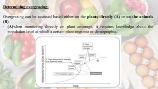 Determining overgrazing:
Overgrazing can be assessed based either on the plants directly (A) or on the animals
(B).
• (A)when monitoring directly on plant coverage, it requires knowledge about the
population level at which a certain plant response or demographic.
 