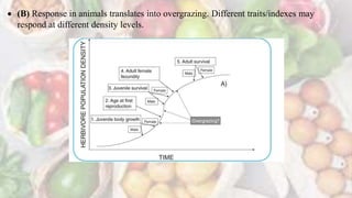  (B) Response in animals translates into overgrazing. Different traits/indexes may
respond at different density levels.
 