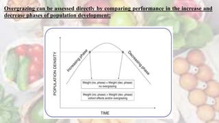 Overgrazing can be assessed directly by comparing performance in the increase and
decrease phases of population development:
 