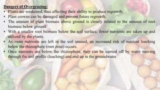 Dangers of Overgrazing:
⁍ Plants are weakened, thus affecting their ability to produce regrowth.
⁍ Plant crowns can be damaged and prevent future regrowth.
⁍ The amount of plant biomass above ground is closely related to the amount of root
biomass below ground.
⁍ With a smaller root biomass below the soil surface, fewer nutrients are taken up and
utilized by the plants.
⁍ As more nutrients are left in the soil unused, an increased risk of nutrient leaching
below the rhizosphere (root zone) occurs.
⁍ Once nutrients are below the rhizosphere, they can be carried off by water moving
through the soil profile (leaching) and end up in the groundwater.
 