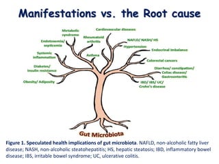 Manifestations vs. the Root cause
Figure 1. Speculated health implications of gut microbiota. NAFLD, non-alcoholic fatty liver
disease; NASH, non-alcoholic steatohepatitis; HS, hepatic steatosis; IBD, inflammatory bowel
disease; IBS, irritable bowel syndrome; UC, ulcerative colitis.
 