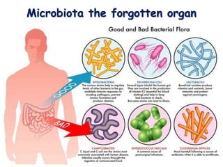 Microbiota the forgotten organ
 