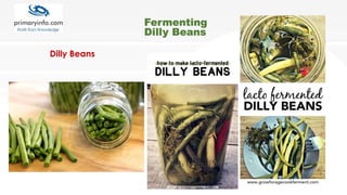 Dilly Beans
Fermenting
Dilly Beans
 