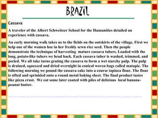 Cassava A traveler of the Albert Schweitzer School for the Humanities detailed an experience with cassava. An early morning walk takes us to the fields on the outskirts of the village. First we help one of the women hoe in her freshly sewn rice seed. Then the people demonstrate the technique of harvesting  mature cassava tubers. Loaded with the long, potato-like tubers we head back. Each cassava tuber is washed, trimmed, and peeled. We all take turns grating the cassava to form a wet starchy pulp. The pulp is drained, squeezed and dried overnight in conical woven bags called matapie. The following morning we pound the cassava cake into a course tapioca flour. The flour is sifted and sprinkled onto a round metal baking sheet. The final product tastes like pizza crust.  We eat some later coated with piles of delicious  local banana-peanut butter. http:// crh .choate. edu /science/Morris/projects/Updated%20version/6.%20Jaw%20Jaw/Cassava_bread/making_cassava_bread. htm 