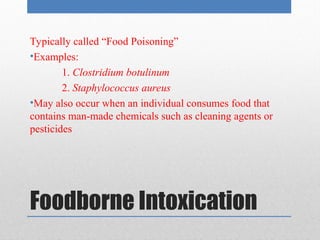 Comprehensive Overview of Food Poisoning: Causes, Risks, and Prevention ...
