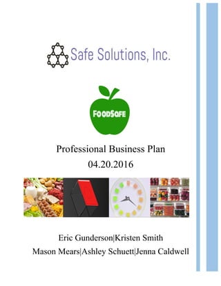 Professional Business Plan
04.20.2016
Eric Gunderson|Kristen Smith
Mason Mears|Ashley Schuett|Jenna Caldwell
 