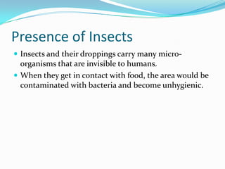 Presence of InsectsInsects and their droppings carry many micro-organisms that are invisible to humans.When they get in contact with food, the area would be contaminated with bacteria and become unhygienic.