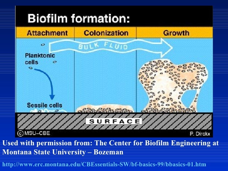 food micro and sanitation and safety Risk characterization of microbiological hazards in wayne anderson food safety to be related to an increase in disease caused by micro-organisms in food. food micro and sanitation and safety Risk characterization of microbiological hazards in wayne anderson food safety to be related to an increase in disease caused by micro-organisms in food.