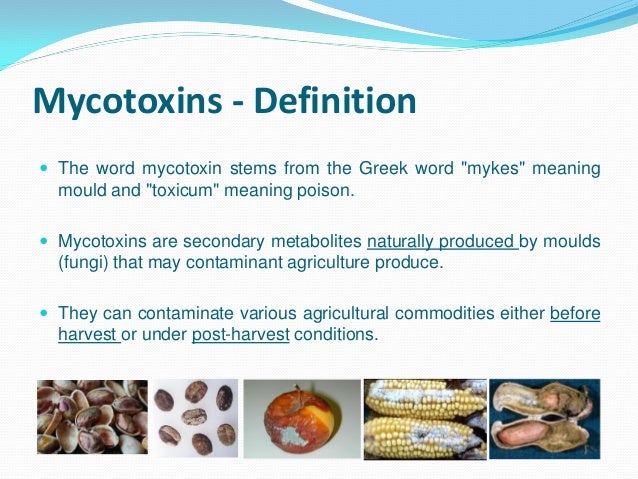 Food Safety Mycotoxins In Foods - 
